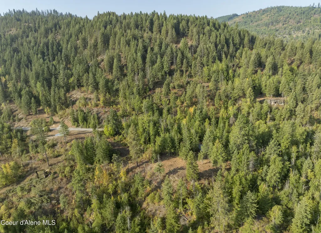 Lot 2 Braden Estates Priest River ID 83856