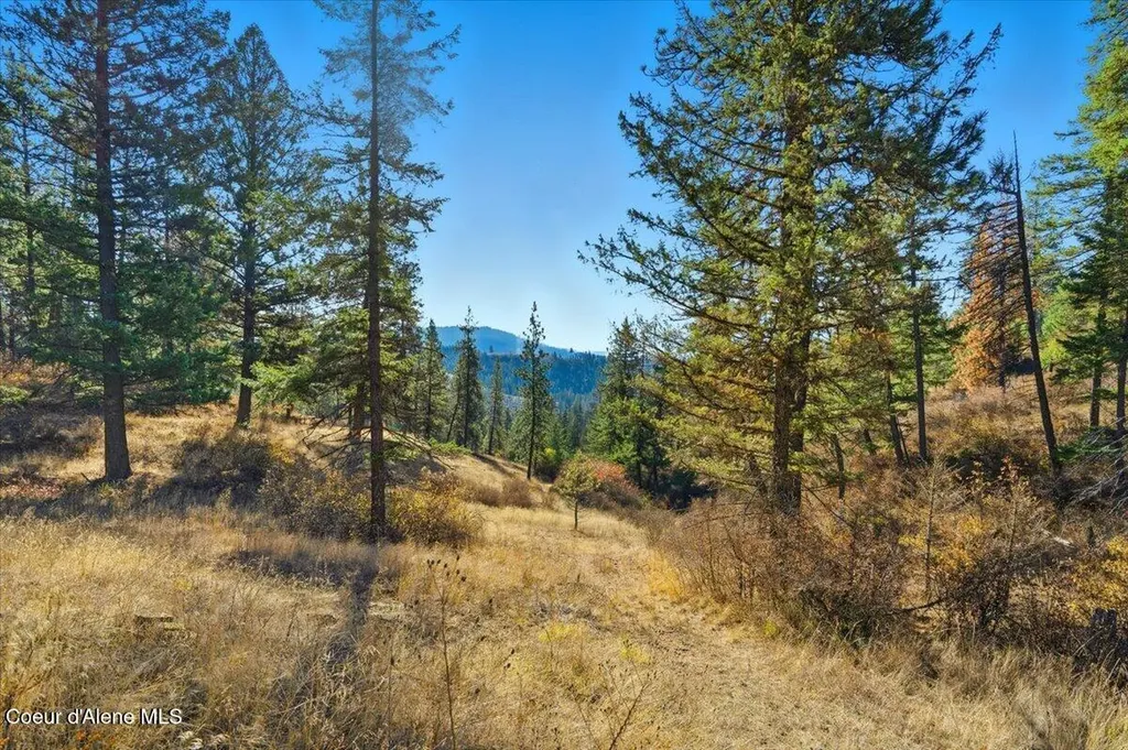 1435 Canyon Ridge Lane Plummer ID 83851