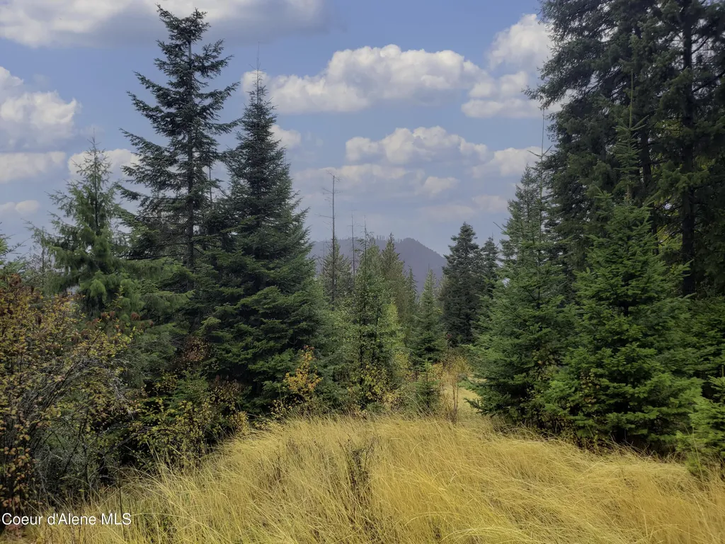 Nka White Cloud Drive Sandpoint ID 83864