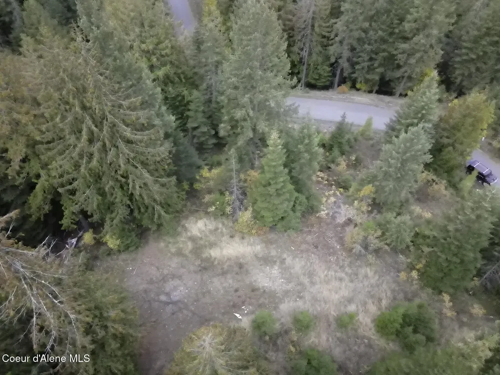 Nka White Cloud Drive Sandpoint ID 83864