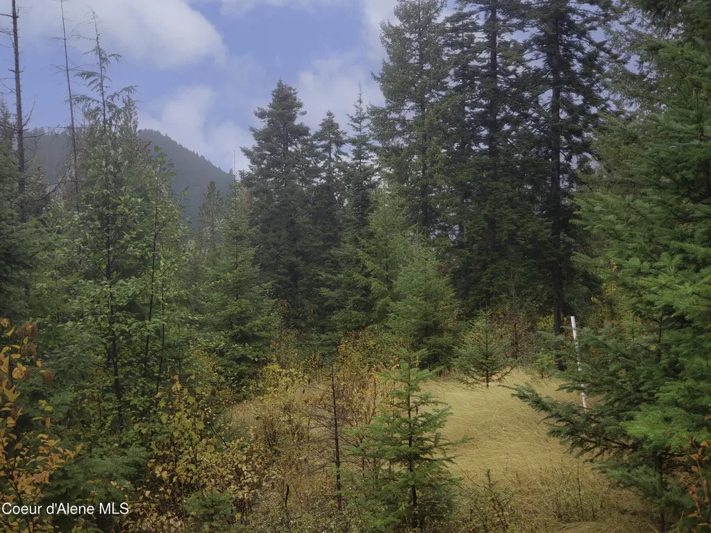 Nka White Cloud Drive Sandpoint ID 83864
