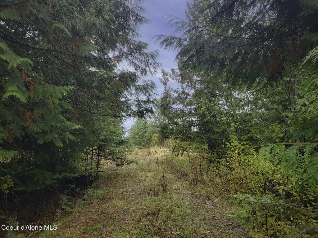 Nka White Cloud Drive Sandpoint ID 83864