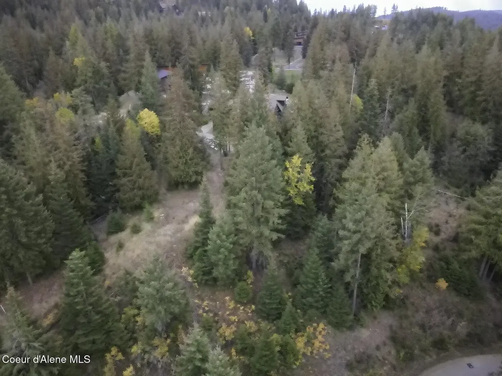Nka White Cloud Drive Sandpoint ID 83864