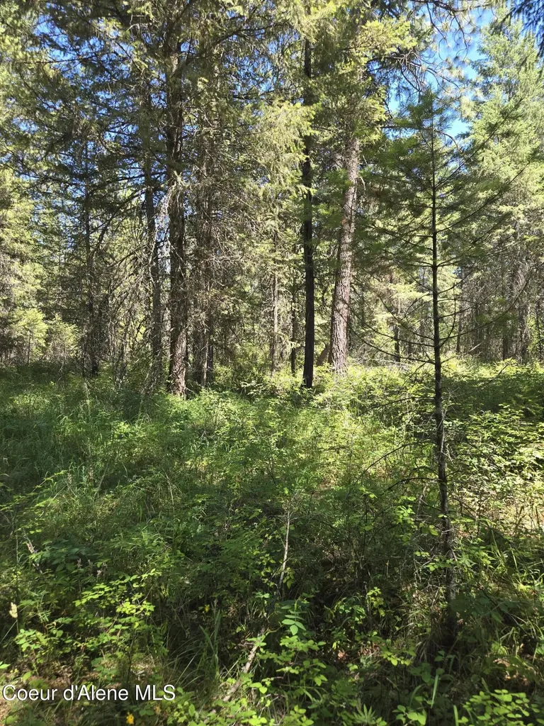 512 Everett Huff Road Oldtown ID 83822