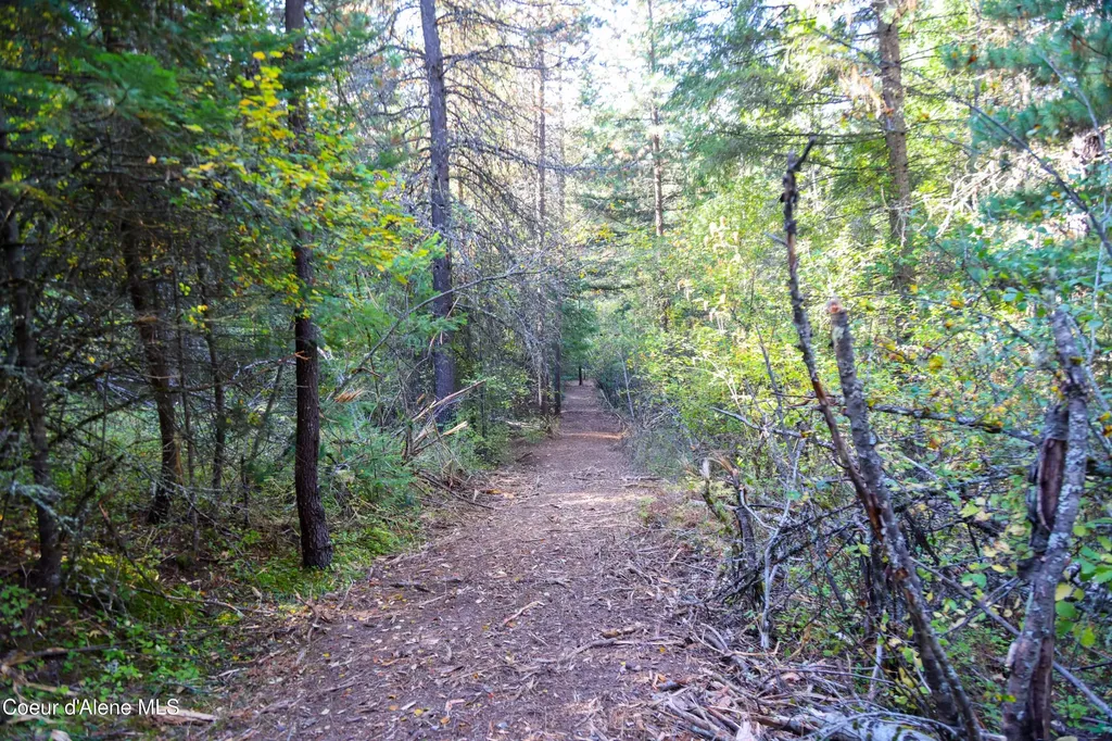 30.91ACS French Gulch Road Kingston ID 83839