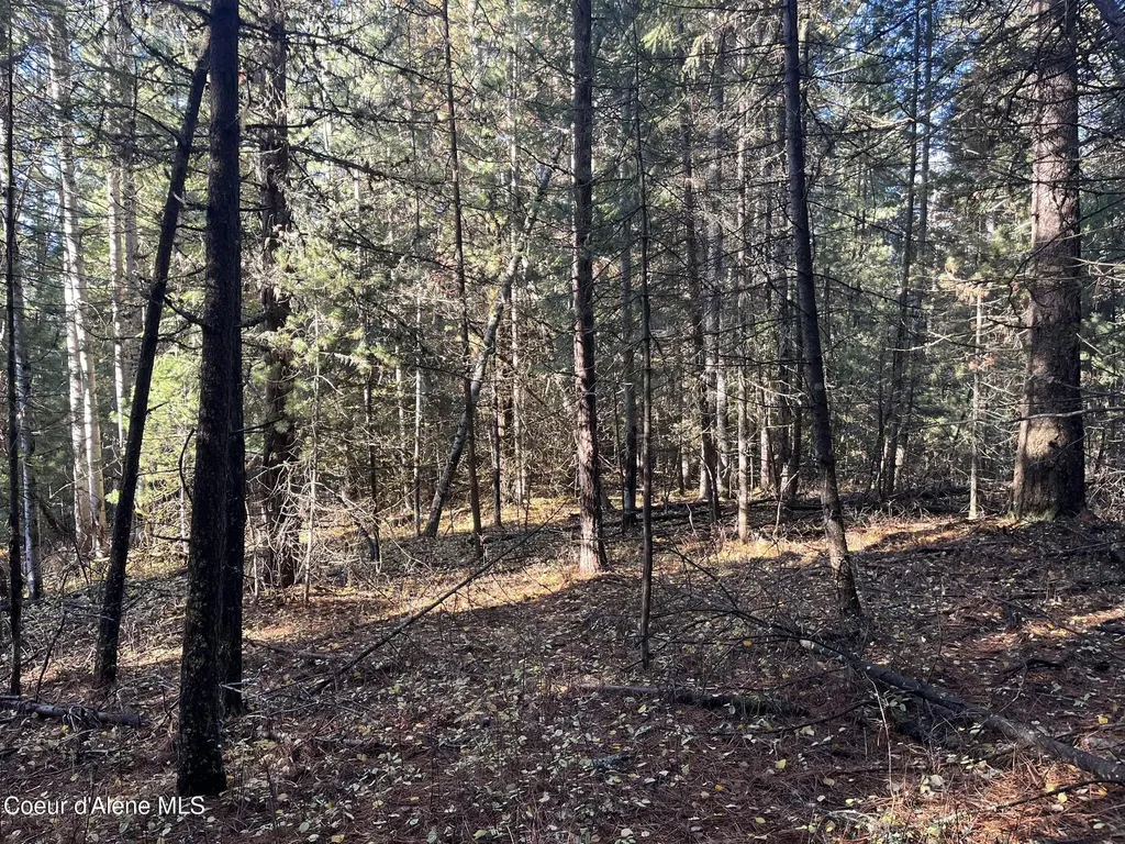 30.91ACS French Gulch Road Kingston ID 83839