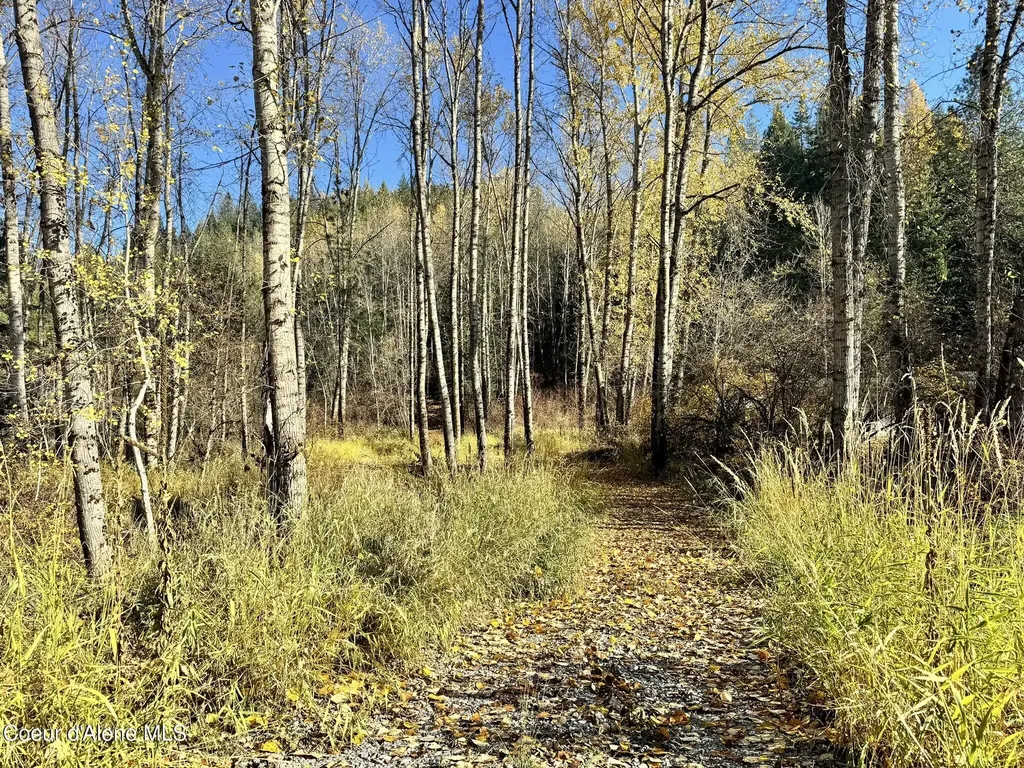30.91ACS French Gulch Road Kingston ID 83839