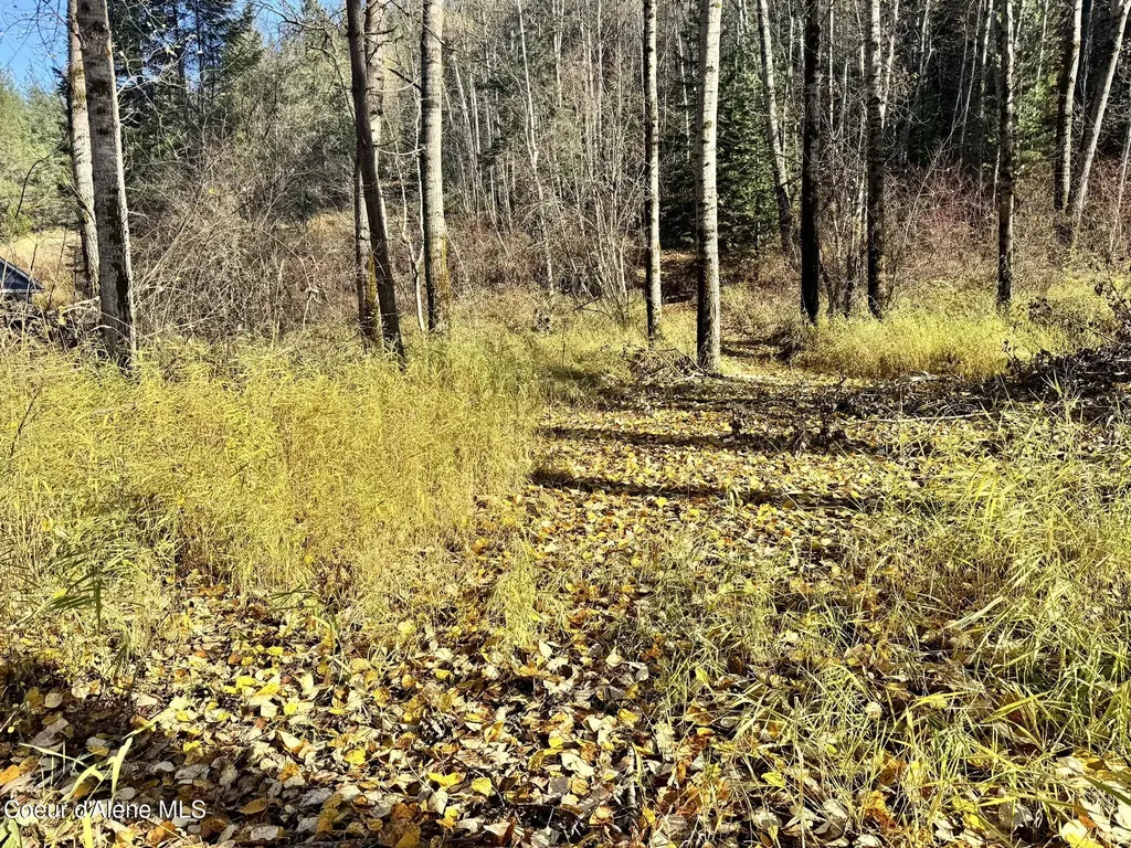 30.91ACS French Gulch Road Kingston ID 83839