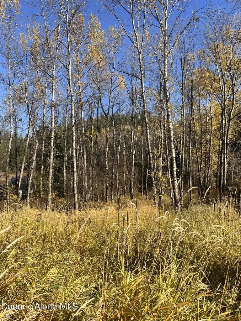 30.91ACS French Gulch Road Kingston ID 83839