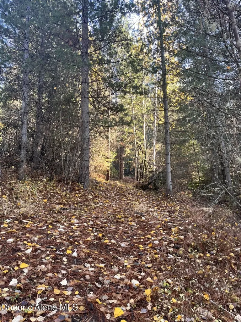 30.91ACS French Gulch Road Kingston ID 83839
