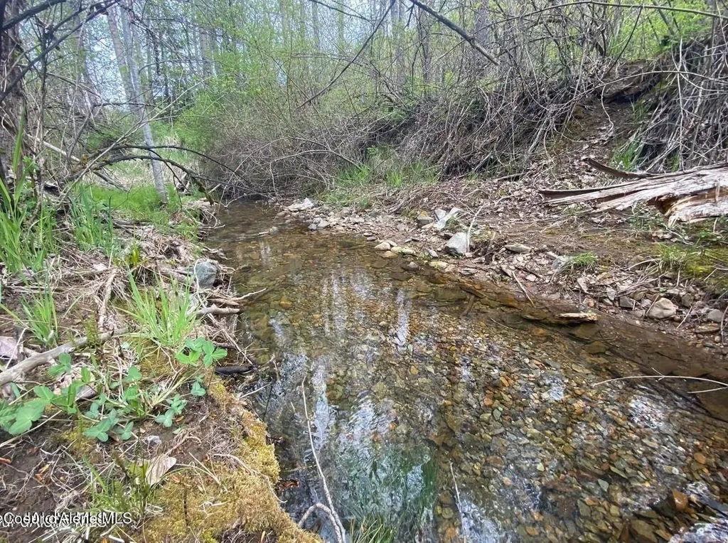 30.91ACS French Gulch Road Kingston ID 83839