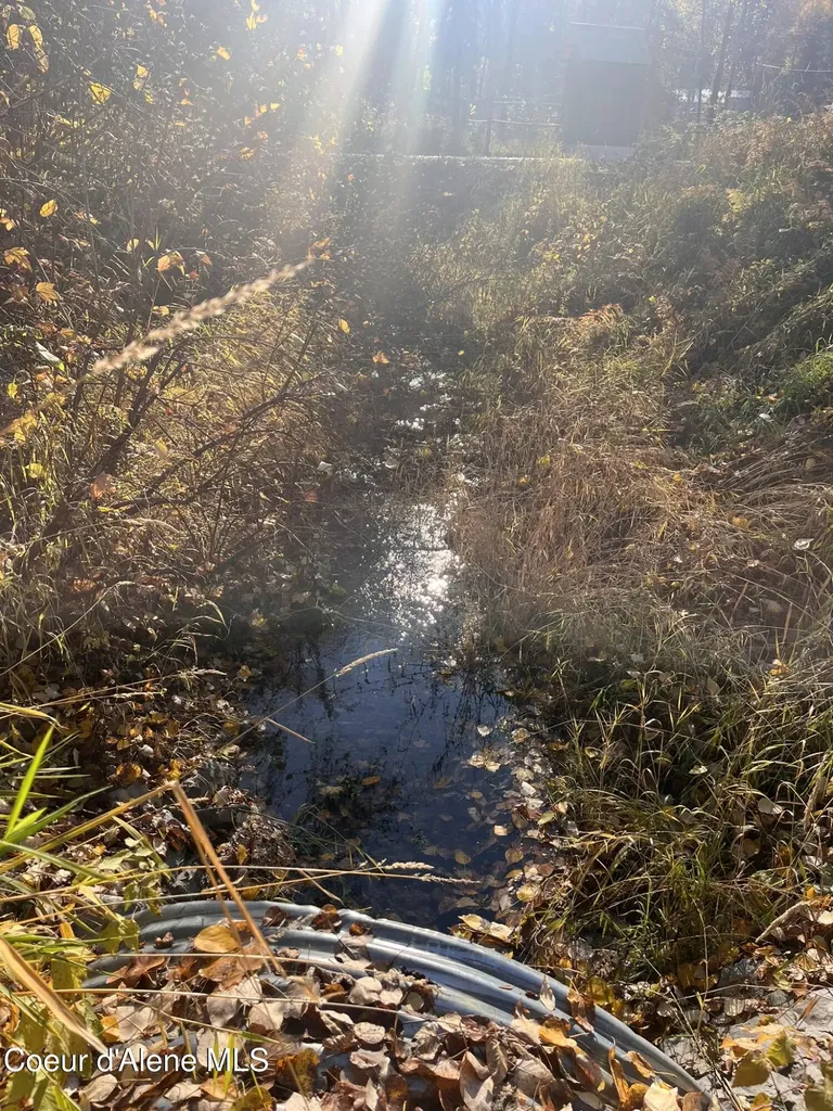 30.91ACS French Gulch Road Kingston ID 83839