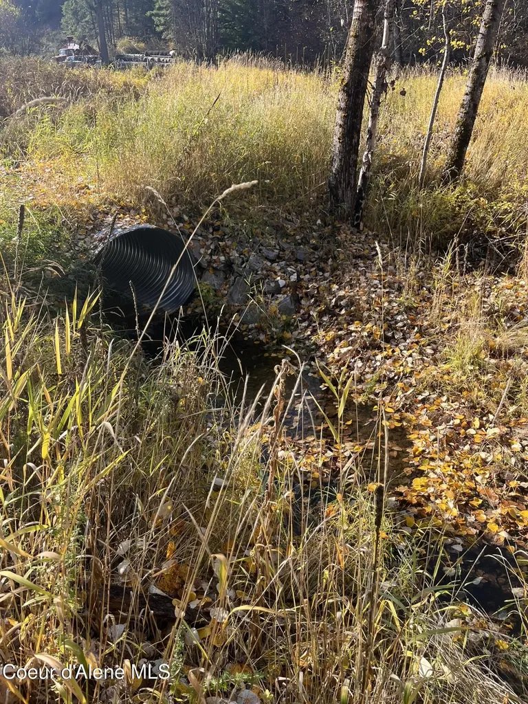 30.91ACS French Gulch Road Kingston ID 83839