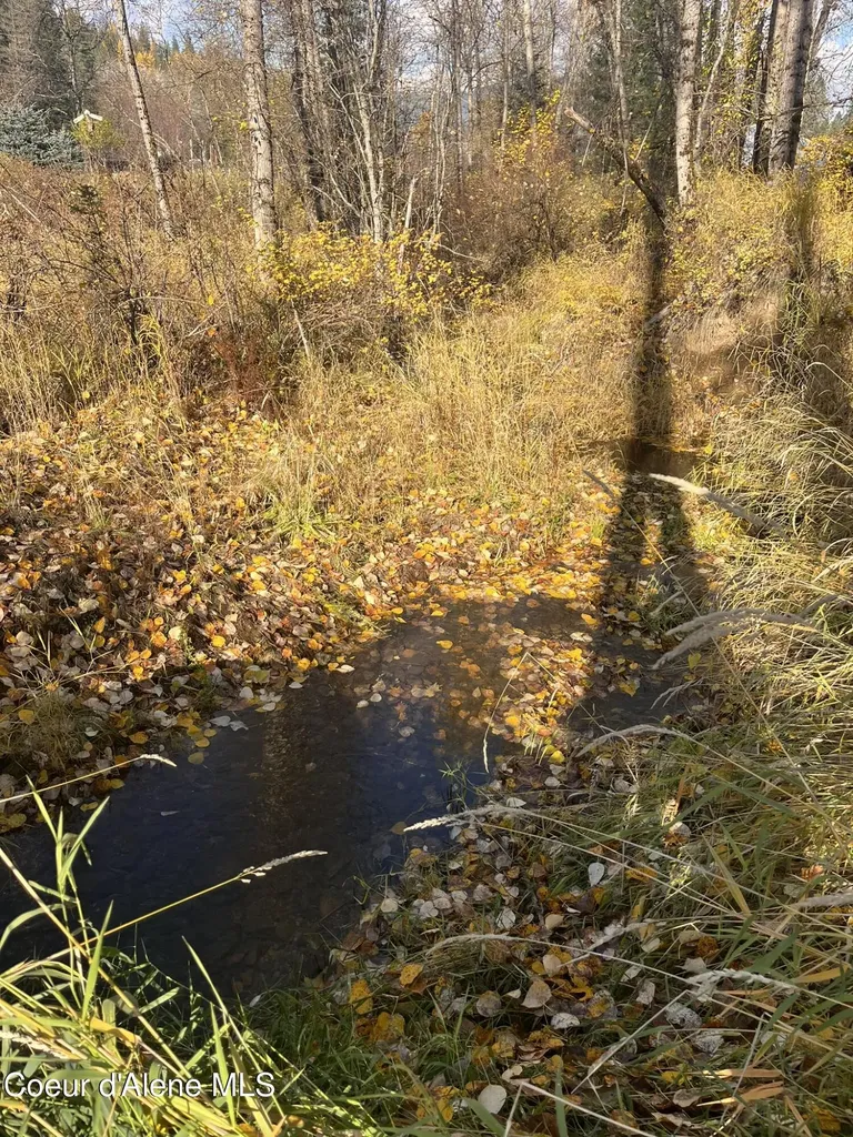 30.91ACS French Gulch Road Kingston ID 83839