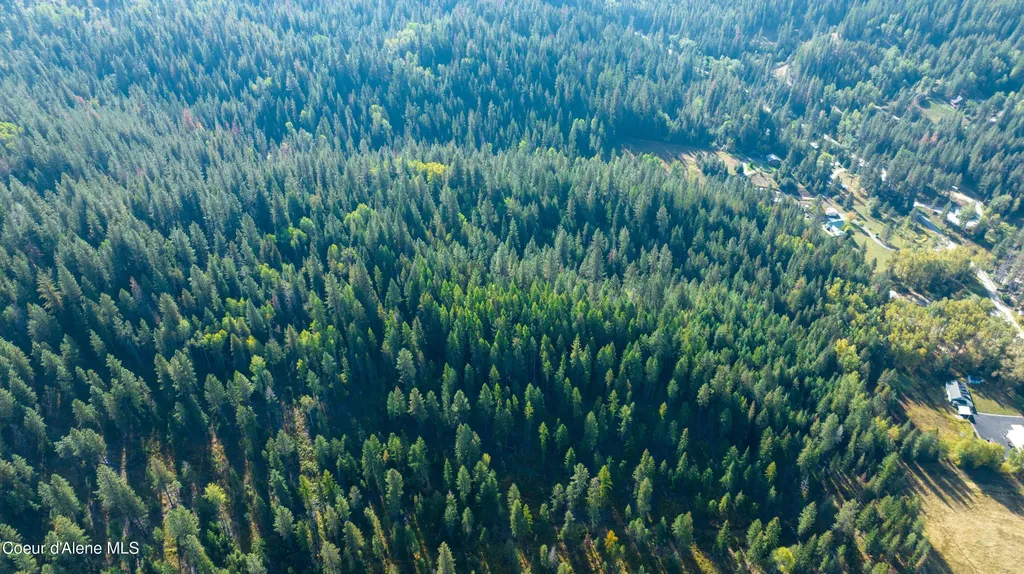 30.91ACS French Gulch Road Kingston ID 83839