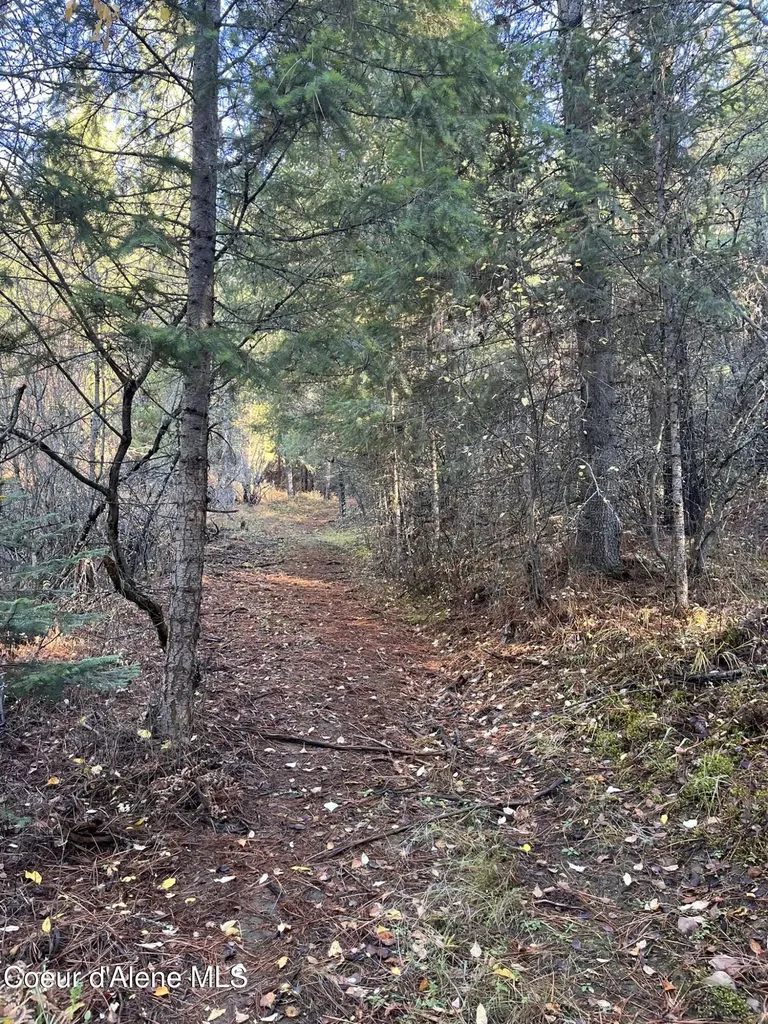 30.91ACS French Gulch Road Kingston ID 83839