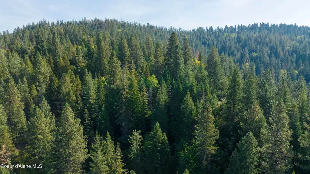 30.91ACS French Gulch Road Kingston ID 83839