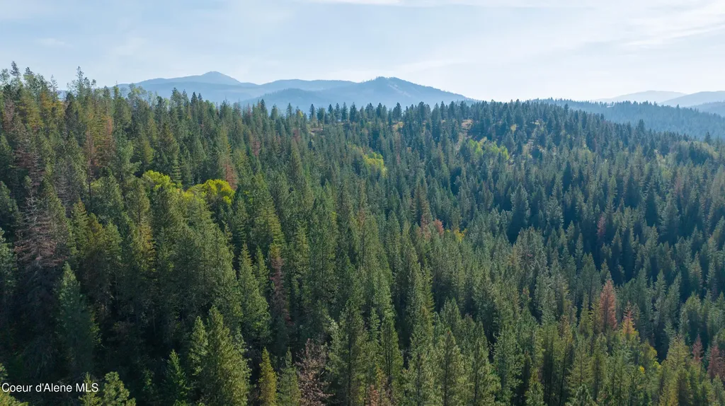 30.91ACS French Gulch Road Kingston ID 83839