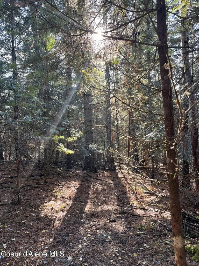 30.91ACS French Gulch Road Kingston ID 83839