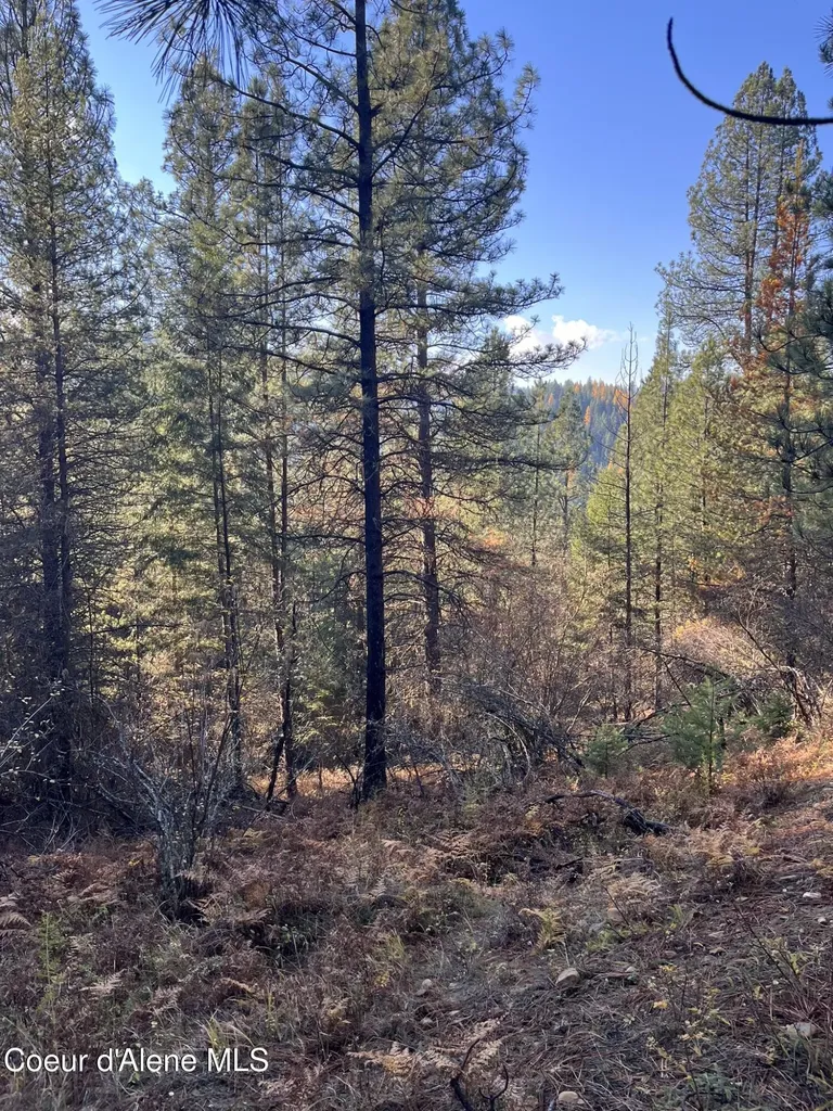 30.91ACS French Gulch Road Kingston ID 83839