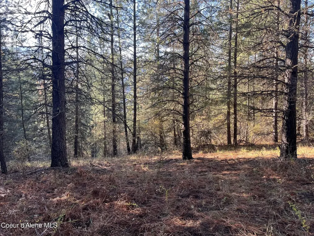 30.91ACS French Gulch Road Kingston ID 83839