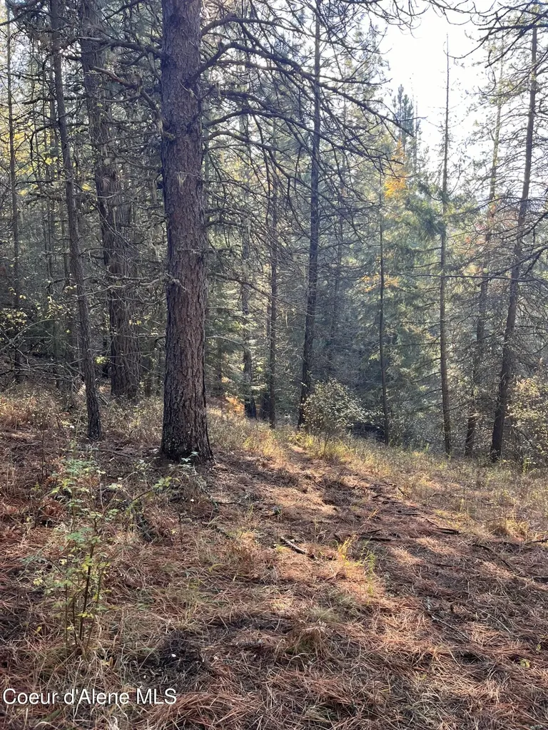 30.91ACS French Gulch Road Kingston ID 83839