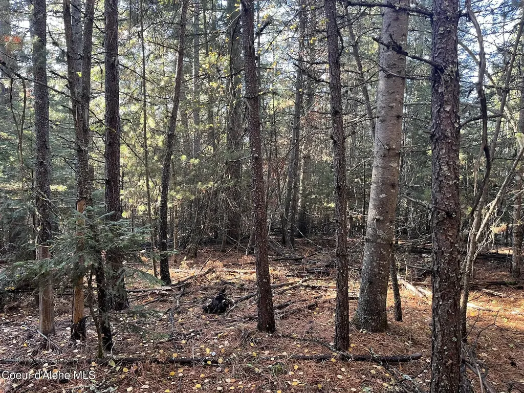 30.91ACS French Gulch Road Kingston ID 83839