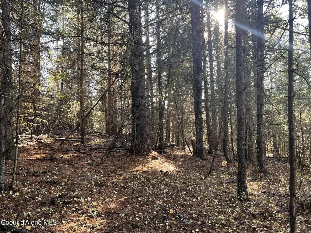 30.91ACS French Gulch Road Kingston ID 83839