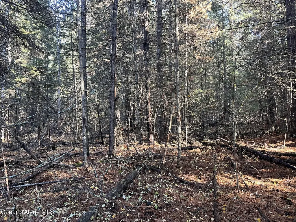 30.91ACS French Gulch Road Kingston ID 83839