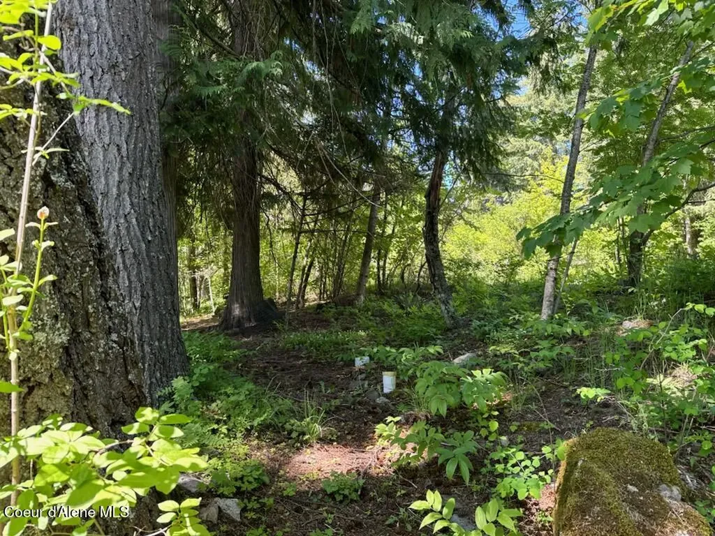 707 Eagen Mountain Drive Hope ID 83836