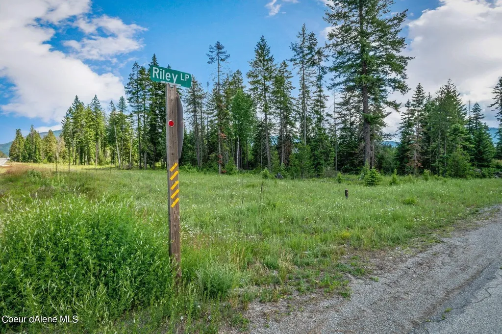 Lot 10 E Riley Loop Athol ID 83801