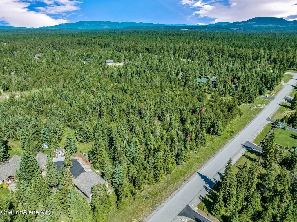 Lot 10 E Riley Loop Athol ID 83801