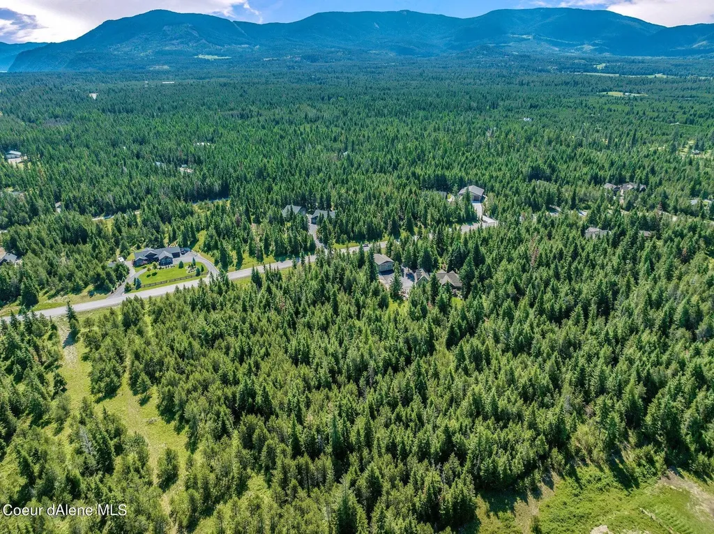 Lot 10 E Riley Loop Athol ID 83801