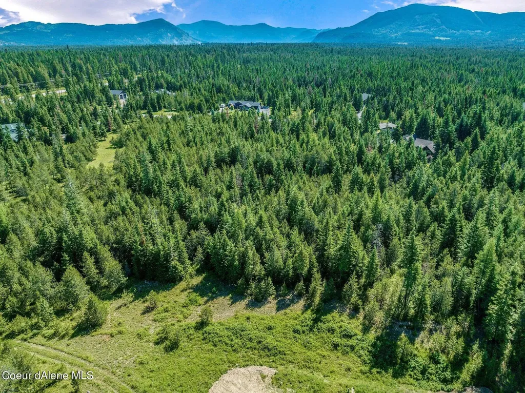 Lot 10 E Riley Loop Athol ID 83801