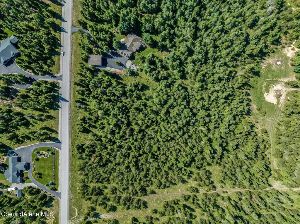 Lot 10 E Riley Loop Athol ID 83801