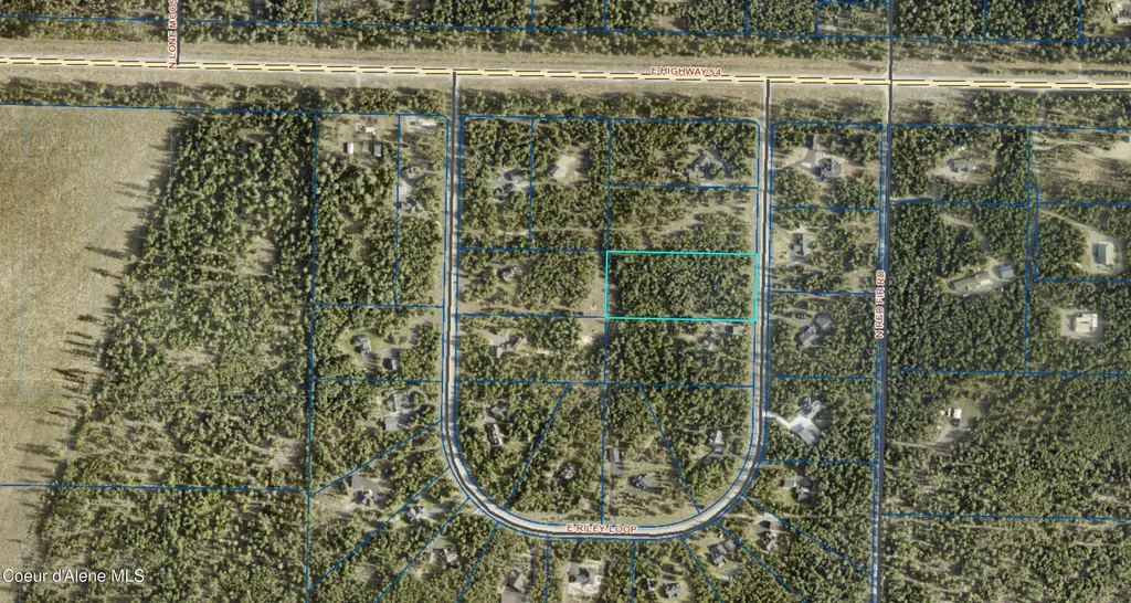 Lot 10 E Riley Loop Athol ID 83801