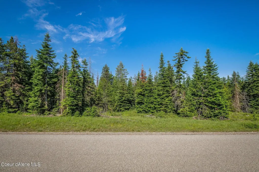 Lot 10 E Riley Loop Athol ID 83801