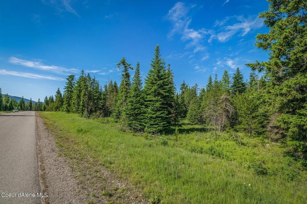 Lot 10 E Riley Loop Athol ID 83801
