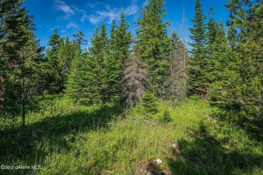 Lot 10 E Riley Loop Athol ID 83801