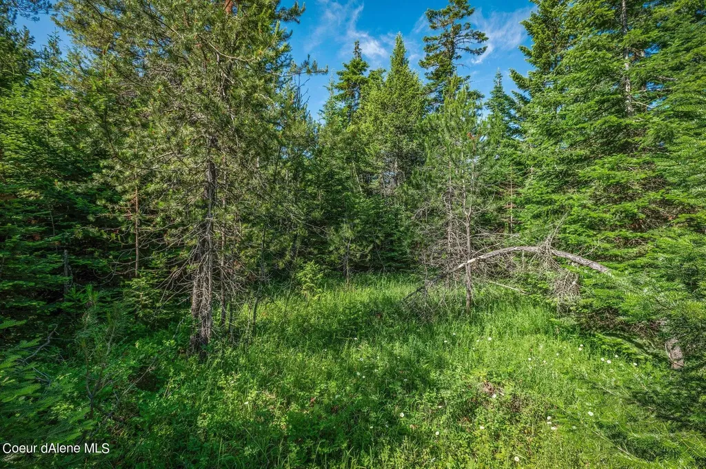 Lot 10 E Riley Loop Athol ID 83801