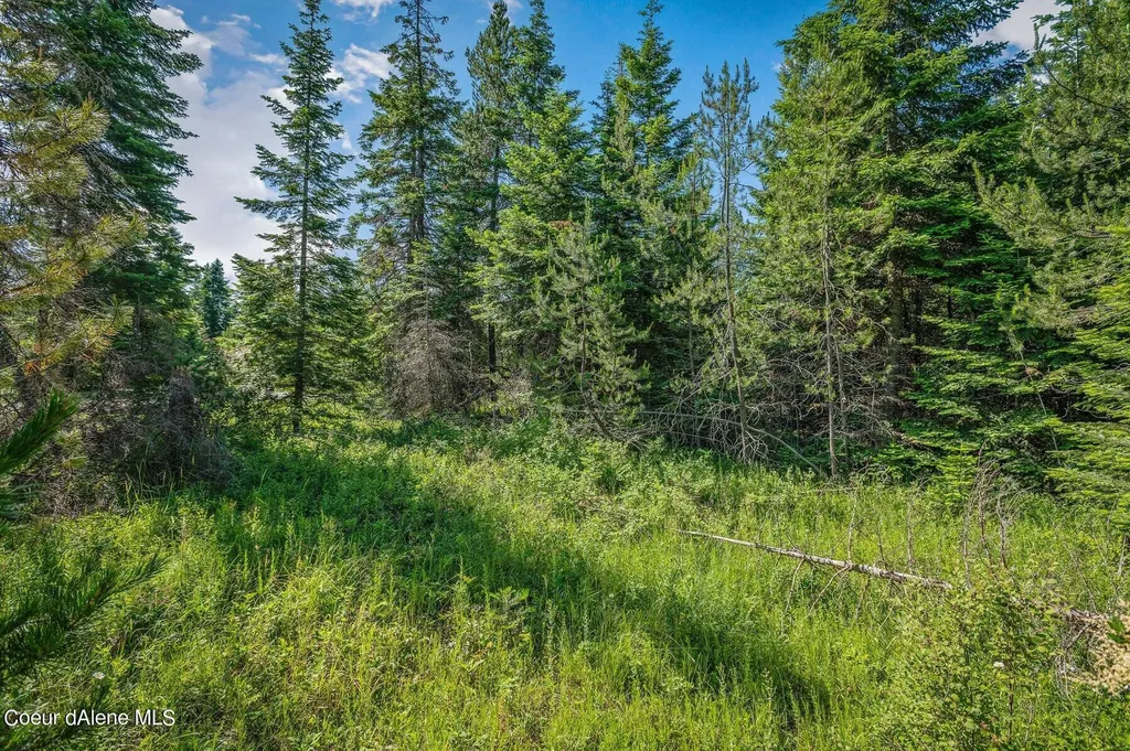Lot 10 E Riley Loop Athol ID 83801