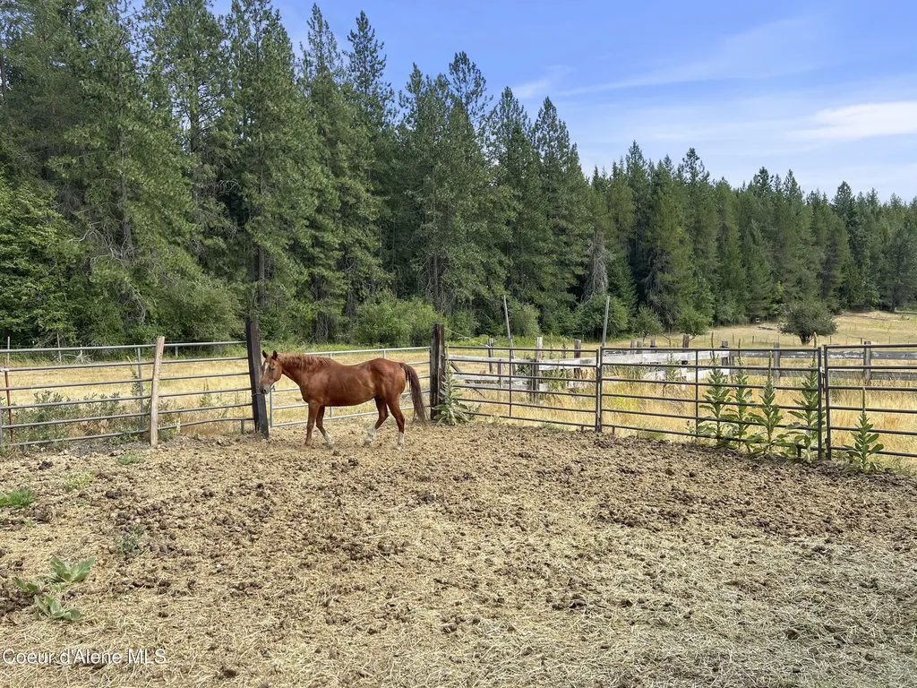 11897 W Hidden Valley Road Rathdrum ID 83858
