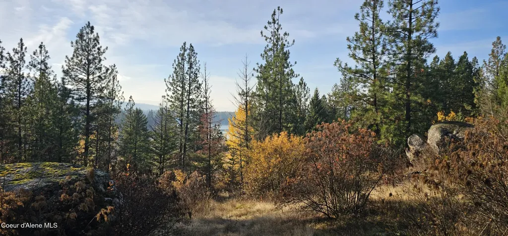 125 Tracker Way Priest River ID 83856