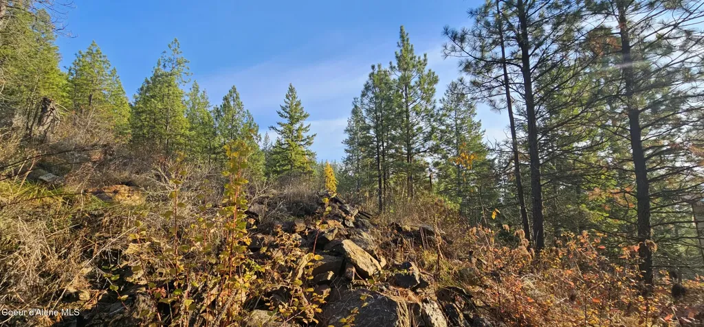 125 Tracker Way Priest River ID 83856