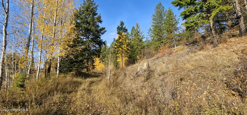 125 Tracker Way Priest River ID 83856