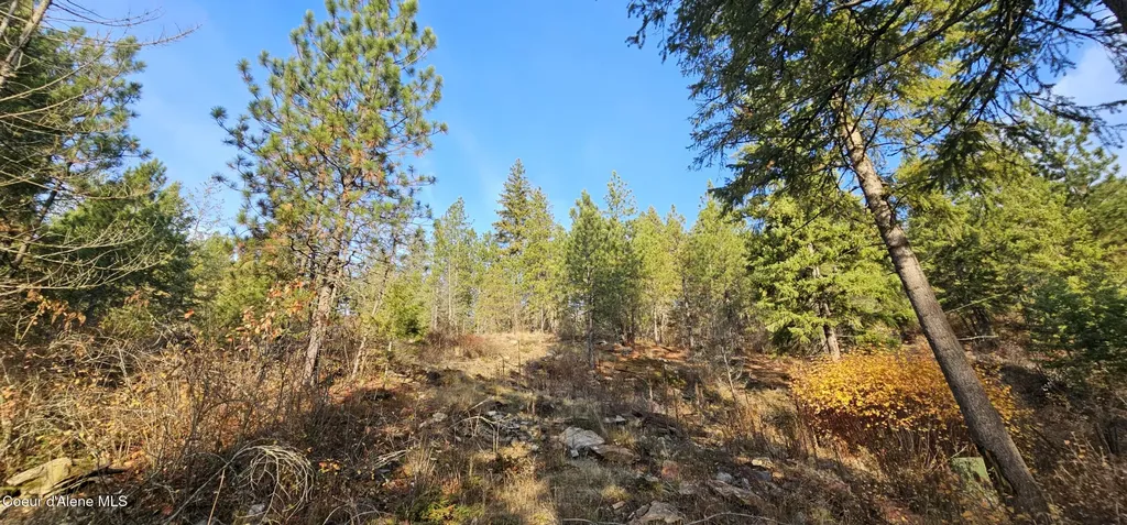 125 Tracker Way Priest River ID 83856