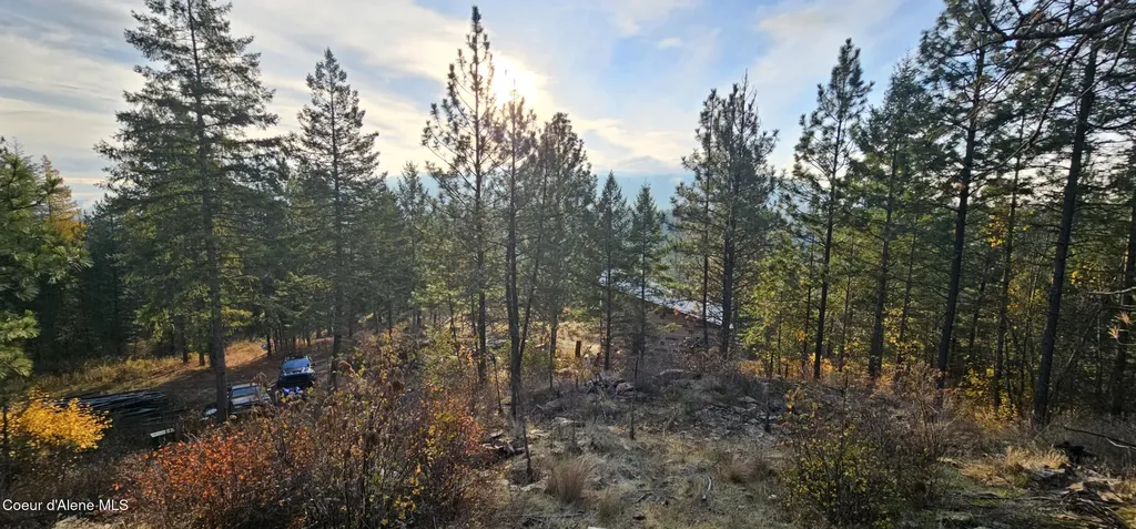 125 Tracker Way Priest River ID 83856