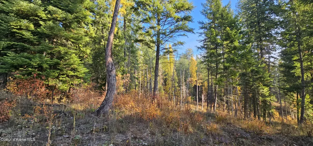 125 Tracker Way Priest River ID 83856