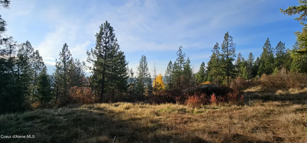 125 Tracker Way Priest River ID 83856