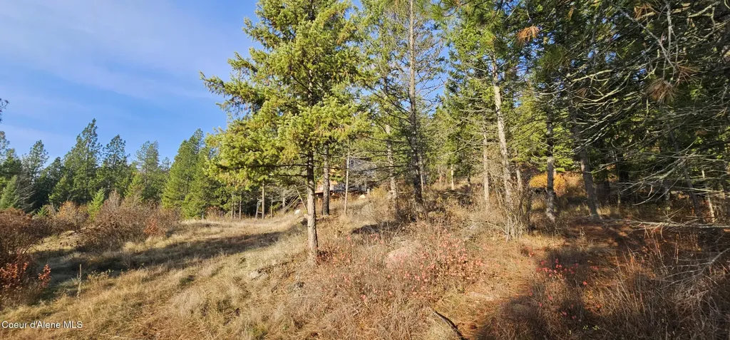 125 Tracker Way Priest River ID 83856